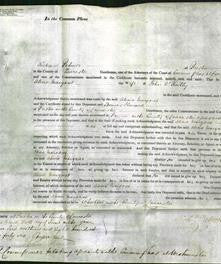 Court of Common Pleas - Alicia Margaret O'Reilly-Original Ancestry