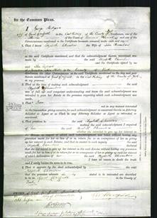 Court of Common Pleas - Elizabeth Chambers-Original Ancestry