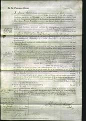 Court of Common Pleas - Mary Martha Greenwood-Original Ancestry