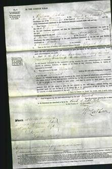 Court of Common Pleas - Elizabeth Floar-Original Ancestry