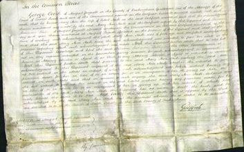 Court of Common Pleas - Mary Ann Nash-Original Ancestry