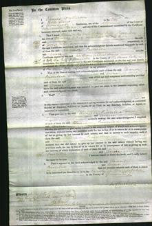 Court of Common Pleas - Eleanor Witts, Priscilla Febrey and Anne Witts-Original Ancestry