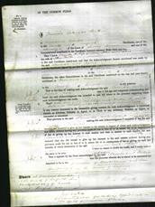 Court of Common Pleas - Clarinda Pettis and Sophia Fowler-Original Ancestry