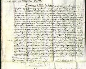 Court of Common Pleas - Jane Parker-Original Ancestry