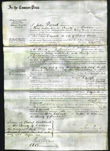 Court of Common Pleas - Elizabeth Cowell-Original Ancestry