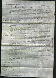 Court of Common Pleas - Anne Seager Warman-Original Ancestry