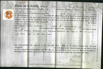Deed by Married Women - Elizabeth Williams-Original Ancestry