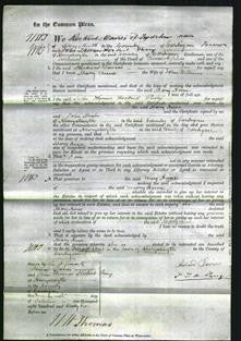 Court of Common Pleas - Mary Anne Williams-Original Ancestry