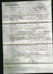 Court of Common Pleas - Dorcas Hayesmore and Mercy Moon-Original Ancestry