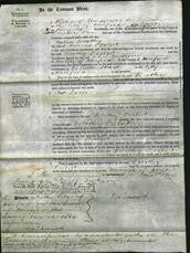 Court of Common Pleas - Dorothy Probert-Original Ancestry