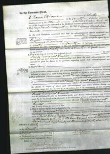 Court of Commoon Pleas - Sarah Margaret Luales-Original Ancestry