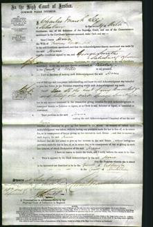 Court of Common Pleas - Maria Rosamond-Original Ancestry