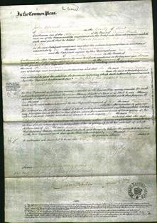 Court of Common Pleas - Frances Emma Weston-Original Ancestry