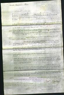 Court of Common Pleas - Mary Johnson and Susanna Broadbridge-Original Ancestry