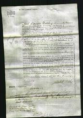 Court of Common Pleas - Charlotte Daniel-Original Ancestry