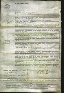 Court of Common Pleas - Sarah Haden-Original Ancestry