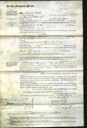 Court of Common Pleas - Mary Senior-Original Ancestry