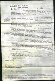 Court of Common Pleas - Mary Jane Smith-Original Ancestry