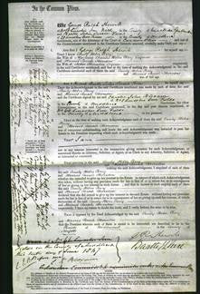 Court of Common Pleas - Emily Heber Percy and Harriet Sarah Thornton #2-Original Ancestry