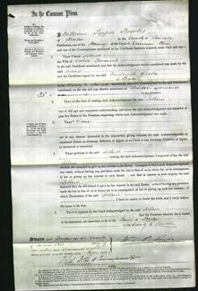 Court of Common Pleas - Selina Barwick-Original Ancestry