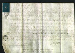 Court of Common Pleas - Charlotte Anne Bonomi-Original Ancestry