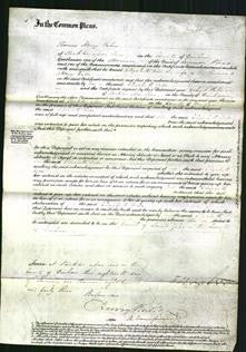 Court of Common Pleas - Elizabeth Orde Wade-Original Ancestry
