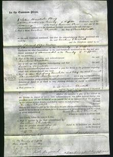 Court of Common Pleas - Caroline Elizabeth Suttle-Original Ancestry