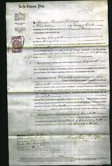 Court of Common Pleas - Elizabeth Cox-Original Ancestry