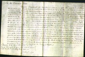 Court of Common Pleas - Catherine Borne-Original Ancestry