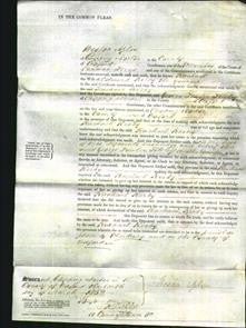 Court of Common Pleas - Rachael Kerby-Original Ancestry