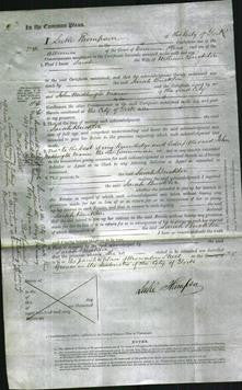 Court of Common Pleas - Sarah Buckton-Original Ancestry