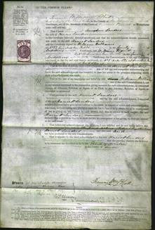 Court of Common Pleas - Harriet Sanders-Original Ancestry