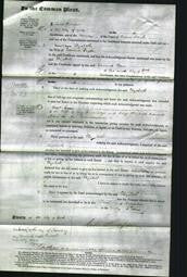 Court of Common Pleas - Elizabeth Taylor-Original Ancestry