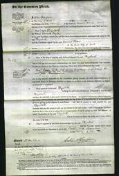 Court of Common Pleas - Elizabeth Taylor-Original Ancestry