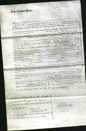 Court of Common Pleas - Mary Haskey-Original Ancestry