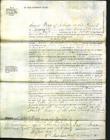 Court of Common Pleas - Bella Metcalfe-Original Ancestry