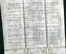 Court of Common Pleas - Martha Shackleton-Original Ancestry