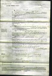 Court of Common Pleas - Mary Cornell-Original Ancestry