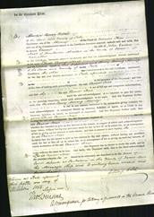 Court of Common Pleas - Eleanor Frost-Original Ancestry