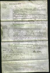 Court of Common Pleas - Lettice Elizabeth Comins-Original Ancestry