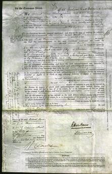 Court of Common Pleas - Selina Barker-Original Ancestry