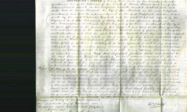 Court of Common Pleas - Elizabeth Newbold-Original Ancestry