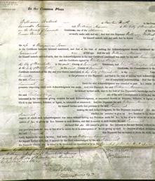 Court of Common Pleas - Susannah Jones-Original Ancestry