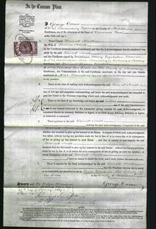 Court of Common Pleas - Harriet Nevell-Original Ancestry