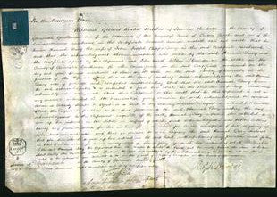 Court of Common Pleas - Hannah Davy-Original Ancestry