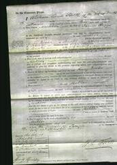 Court of Common Pleas - Sarah Jane Watson Tingey-Original Ancestry