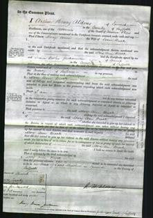 Court of Common Pleas - Mary Ann Brook-Original Ancestry