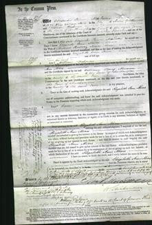 Court of Common Pleas - Elizabeth Ann Miers-Original Ancestry