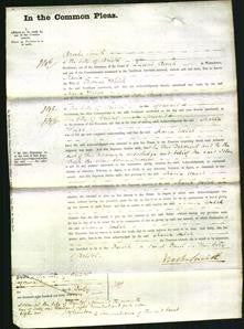 Court of Common Pleas - Maria Welch-Original Ancestry