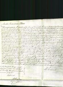 Court of Common Pleas - Sarah Bowen-Original Ancestry